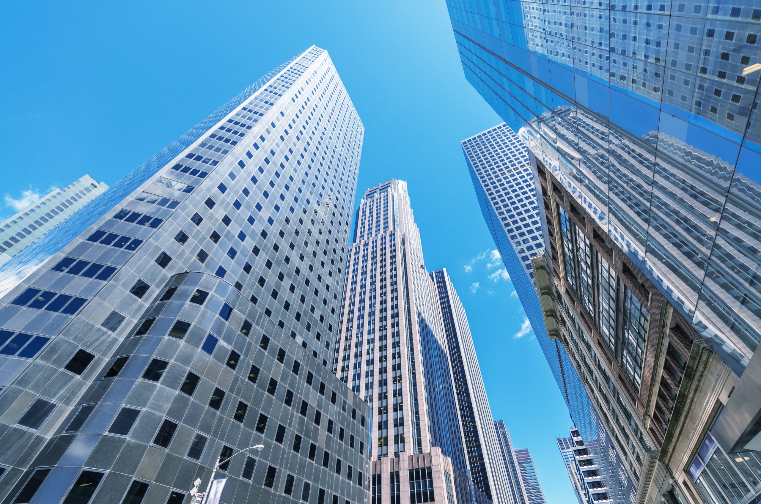 Buildings and Skyline